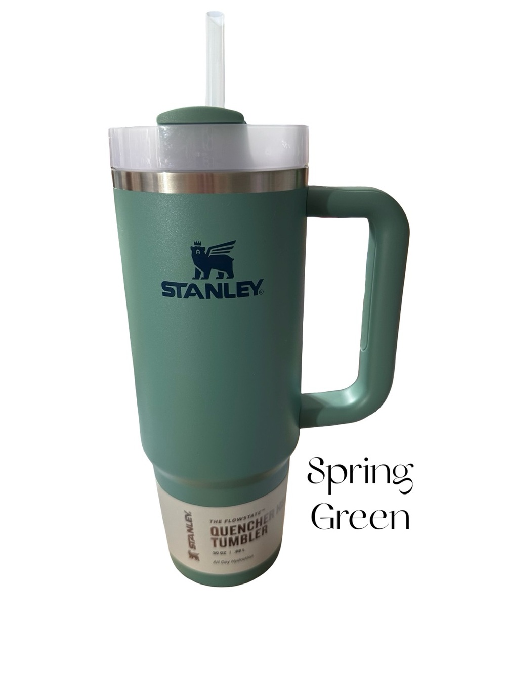 Stanley Quencher H2O 30 oz Tumbler “Spring Green”